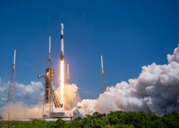 SpaceX Warns Investors Elon Musk Could Return to US Politics, Bloomberg Reports