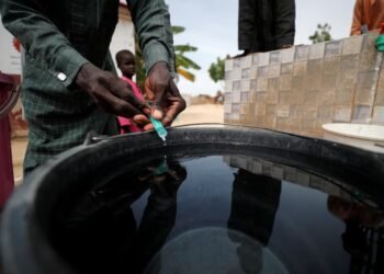 Cholera Outbreak in Northwest Nigeria Kills Eight, Infects Over 200
