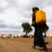 Somalia Faces Diphtheria Surge Amid Vaccine Shortages and Aid Cuts