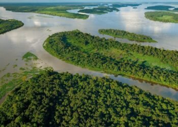 Congo River Disaster: At Least 107 Dead, 146 Missing After Boat Fire