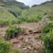 Plea for Help After Landslide Wipes out Sudan Village, Killing 1,000