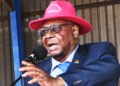 Malawi’s Ex-president Mutharika Takes Early Lead in Election