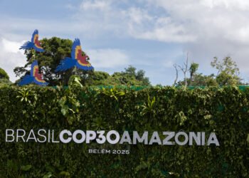 COP30 Ends with Big Forest Funds but No Deforestation Deal, Leaving Amazon Hopes Unfulfilled