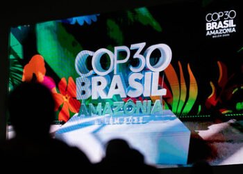 COP30 in Belém: Between the ‘COP of Truth’ and the Politics of Survival