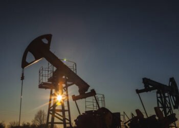 Oil Prices Steady Despite OPEC+ Plans to Pause Output Increases