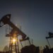 Oil Prices Steady Despite OPEC+ Plans to Pause Output Increases