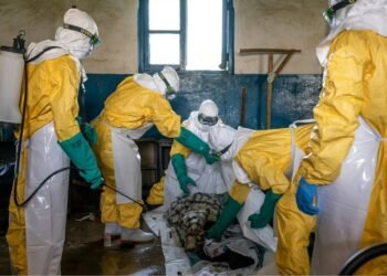 Ebola Outbreak in Eastern Congo: A Race Between Trust and Transmission 
