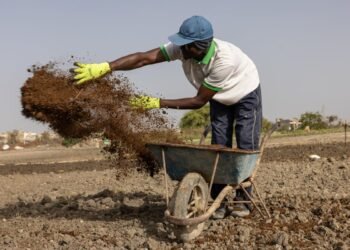 Iran Conflict Pushes Farmers Toward Compost and Natural Fertilizers
