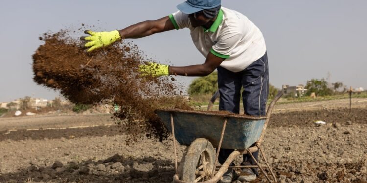 Iran Conflict Pushes Farmers Toward Compost and Natural Fertilizers