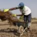 Iran Conflict Pushes Farmers Toward Compost and Natural Fertilizers