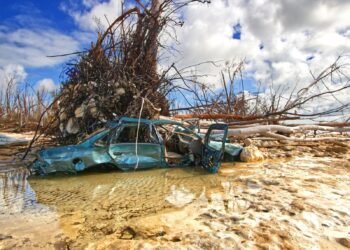 Small Island, Big Stakes: Grenada’s Fight to Build an Economy the Next Crisis Cannot Break